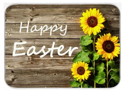 Produktbild von Fußmatten 40 x 60 cm, Sonnenblume Frohe Ostern Fußabtreter personalisiert rutschfester Badvorleger für Schlafzimmer, Badezimmer, Küche