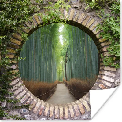Produktbild von MuchoWow® Poster Bambus - Wald - Japanisch - Aussicht 50x50 cm - Wohnzimmerdekoration