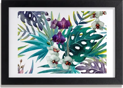 Produktbild von Bild 30x20 MDF-Rahmen, Wandkunst tropische Blumen
