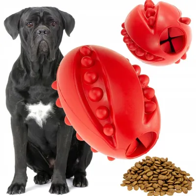 Produktbild von Hundespielzeug für Leckerlis Futter Ei