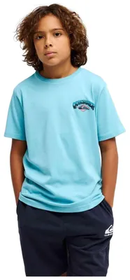 Image de T-shirt Quiksilver 4957-BJK pour Garçon