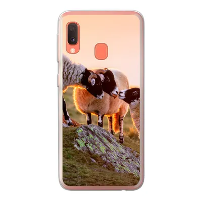 Produktbild von MuchoWow® Handyhülle Schutzhülle Hülle für Samsung Galaxy A20e Schafe - Tiere - Sonnenuntergang Silikon Softcase Handy Hülle - Abdeckung