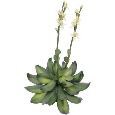 Zdjęcie produktu dla EUROPALMS Róża kamienna (EVA), sztuczna roślina, żółta, 32 cm