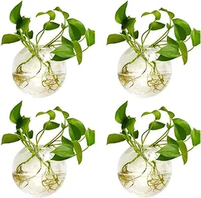 Produktbild von Famanu Pflanzenbehälter Set - 4 runde Wandtöpfe für Wasser- und Luftpflanzen - 10 cm Durchmesser