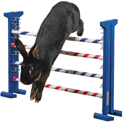 Produktbild von Kerbl Pet Agility Kombisprung für Nager, Höhe 53 cm