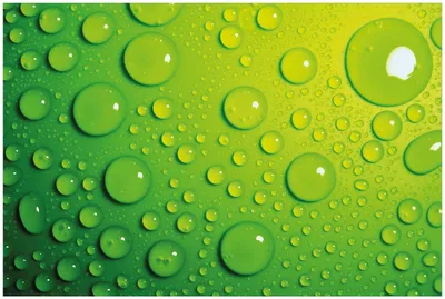 Produktbild von Wallario Premium Glasbild, freischwebende Optik, kräftige Farben, Größe 90 x 60 cm Motiv Wassertropfen auf Grün