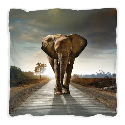 Produktbild von Wallario Premium Kissen, weiche Oberfläche, mit Motiv Elefant bei Sonnenaufgang in Afrika, Größe: 60 x 60 cm, mit weißer Rückseite