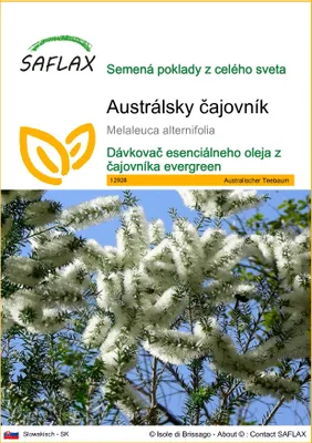 Obrázok produktu pre SAFLAX - Austrálsky čajovník - Melaleuca alternifolia - 400 Semená