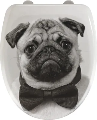 A black and white image of a pug wearing a bow tie, printed on a toilet seat.