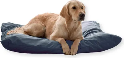 Produktbild von 4L Textil ZOE Hundekissen waschbar mit Bezug und Reißverschluss Hundekissen Grosse Hunde Hundematte Liegekissen waschbares (120x100 cm, Dunkelgrau)