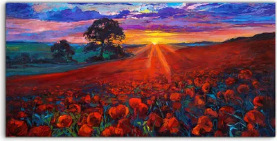Produktbild von Coloray Acrylbild 100x50  Wandbild Acrylbilder Foto Wiesen landschaft Mohn Felder