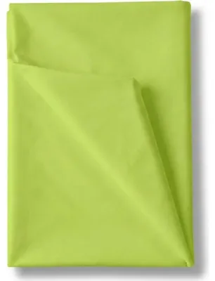 Immagine prodotto di Kvalitex Lenzuolo di cotone verde chiaro 150x230cm