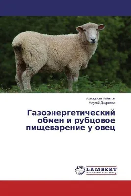 Produktbild von Gazoänergeticheskij obmen i rubcowoe pischewarenie u owec