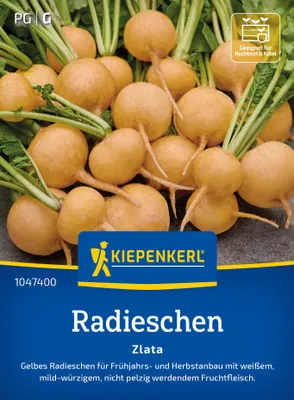 Artikelbild 2 von 'Radieschen Zlata' aus der Kategorie Radieschensamen