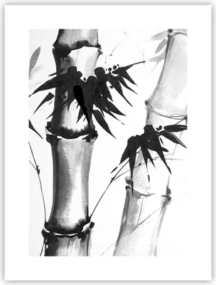 Produktbild von Poster - Poster ohne Rahmen - Asiatisch Aquarell Bambus - 30x40 cm - Wand Bild - Wanddeko - Wandbilder - Kunstposter - Wandposter - Bilder - Kunstdruck - Wanddekoration - Wandbild - P2XPA30x40-4577