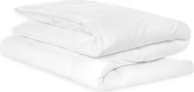 Image de Julius Zöllner Set de couette Basic 100x135 + 40x60 cm