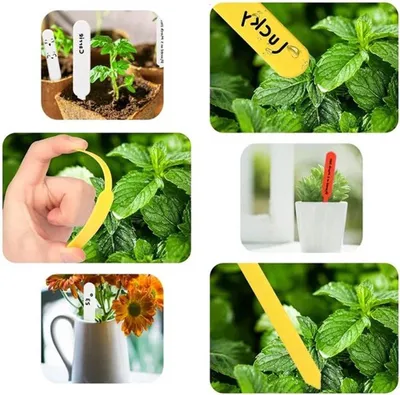300 Stück Gartenetiketten für Pflanzen - Nachhaltige Etikettenstäbe für Garten, Blumen und Gemüse in Töpfen