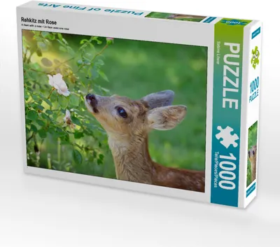 Produktbild von CALVENDO Puzzle Rehkitz mit Rose | 1000 Teile Lege-Größe 64x48cm Foto-Puzzle für glückliche Stunden