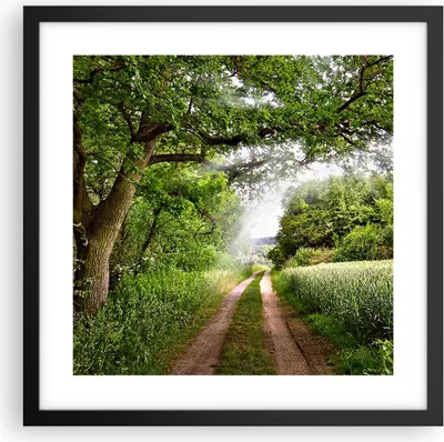 Produktbild von Gerahmtes Poster - Schwarzer Rahmen - Pfad Natur Wald Grün - 40x40 cm - Wand Bild - Wanddeko - Wandbilder - Kunstposter - Wandposter - Bilderrahmen - Bilder - Kunstdruck - Wandbild - P2BAC40x40-2637