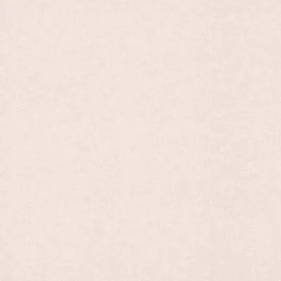 Produktbild von Vliestapete 252811 Tapete Uni Einfarbig 53 x 1005 cm Rasch Bambino XIX Beige