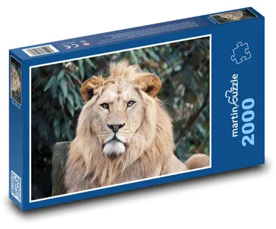Zdjęcie produktu dla martinpuzzle - Puzzle 2000 - Lew z bujną grzywą