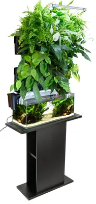Obrázok produktu pre Modulová stena VERSA GARDEN HYDROPONIC PLUS