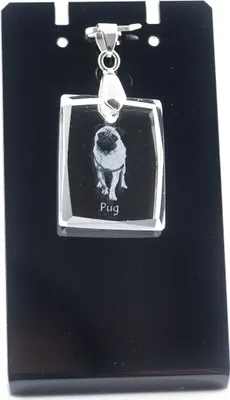 Obrázok produktu pre Mops - Krištáľový prívesok so psom, náhrdelník s fotografiou, jedinečné šperky od Art-Dog