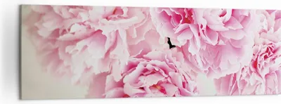 Produktbild von Bild auf Leinwand - Leinwandbild - Einteilig - Pfingstrosen Blumenstrauß Blumen - 160x50cm - Wand Bild - Wanddeko - Wandbilder - Leinwanddruck - Bilder - Wanddekoration - Leinwand bilder AB160x50-4961