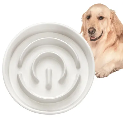 Immagine prodotto di Solidchoice - Ciotola antiscivolo in Vetroceramica per cani