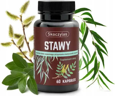 Immagine prodotto di Le articolazioni sono saltate - integratore alimentare 30 capsule Skoczylas