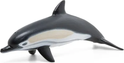 Immagine prodotto di Papo Wild Life Delfino comune 56055