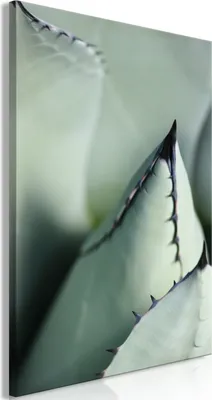 Produktbild von Italienischer Leinwand Leinwandbild - Green Spikes (1 Part) Vertical 60x90 cm Blätter b-B-0368-b-a