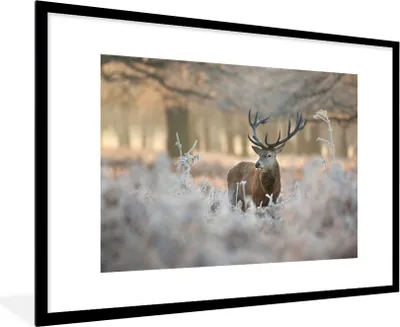 Produktbild von MuchoWow® MuchoWow® Gerahmtes Poster Hirsche - Tiere - Winter 90x60 cm - Poster mit zchwarzem Bilderrahmen - Wanddekoration - Fotos