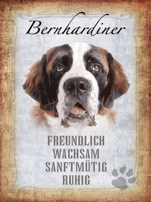 Produktbild von vianmo Holzschild 40x30 cm Bernhardiner Hund