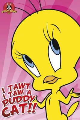 Produktbild von Looney Tunes - Poster - Tweeety