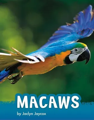 Produktbild von Macaws