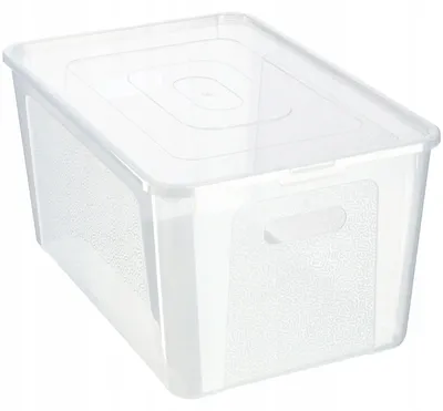 Image de Boîte de rangement - Bac en plastique - Contenance 17 l - Avec couvercle - Verrouillable - Transparent