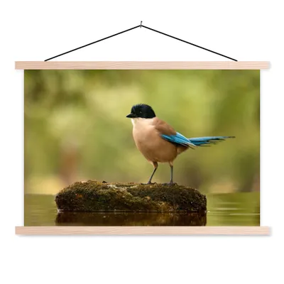 Produktbild von MuchoWow® Textilposter Elster - Vogel - Moos 120x80 cm mit holzfarbenen Rahmen - Aufhängeset
