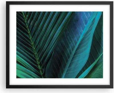 Produktbild von Gerahmtes Poster - Schwarzer Rahmen - Blatt Tropen Grün - 50x40 cm - Wand Bild - Wanddeko - Wandbilder - Kunstposter - Wandposter - Bilderrahmen - Bilder - Kunstdruck - P2BAA50x40-5071