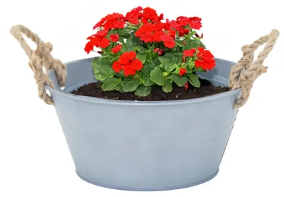 Produktbild von Mega Collections Kubel/Pflanztopf Old Rope - Zink - Silber - D23 X 11 cm