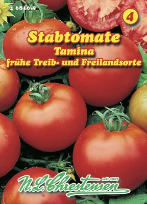 Artikelbild 1 von 'Stabtomate Tamina' aus der Kategorie Stabtomatensamen