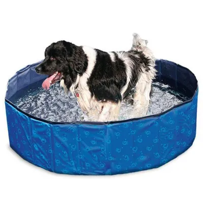Image de Karlie Doggy Pool