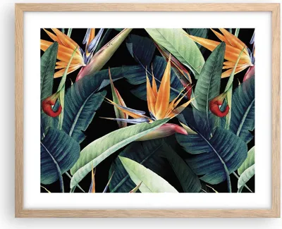 Produktbild von Gerahmtes Poster - Rahmen in heller Eiche - Pflanze Tropisch Blume - 50x40 cm - Wand Bild - Wanddeko - Wandbilder - Kunstposter - Wandposter - Bilderrahmen - Bilder - Kunstdruck - P2NAA50x40-5093