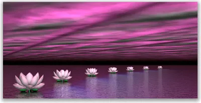 Produktbild von Acrylglasbilder 120x60 Wandbild Druck Blumen Pflanzen