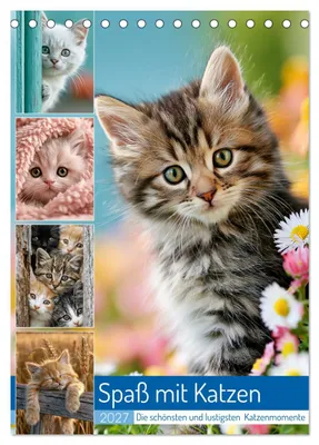 Produktbild von Spaß mit Katzen (Tischkalender 2027 DIN A5 hoch), CALVENDO Monatskalender