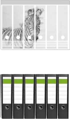 Produktbild von Wallario 6 Stück breite Ordner inkl. Klebeetiketten mit Motive Zebra in schwarz weiß - Bleistift Zeichnung -  Set mit Rückenschildern / Ordnerrücken Stickern