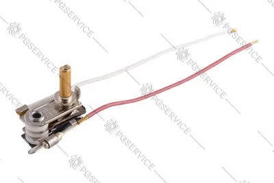 Obrázok produktu pre Polti termostat 185°C + TCO termopoistka 240°C Vaporella Lecoaspira Forever
