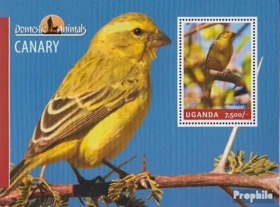 Produktbild von Briefmarken Uganda 2014 Mi Block464 (kompl.Ausg.) postfrisch Girlitz