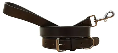 Produktbild von s Lederhalsband und Leine Set für kleine Hunde