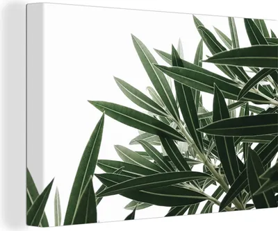 Produktbild von OneMillionCanvasses® - Leinwandbilder - 140x90 cm, Natur - Pflanzen - Blätter, Wandbilder Kunstdruck Wanddekoration - Foto auf Leinwand - Gemälde auf Holzrahmen